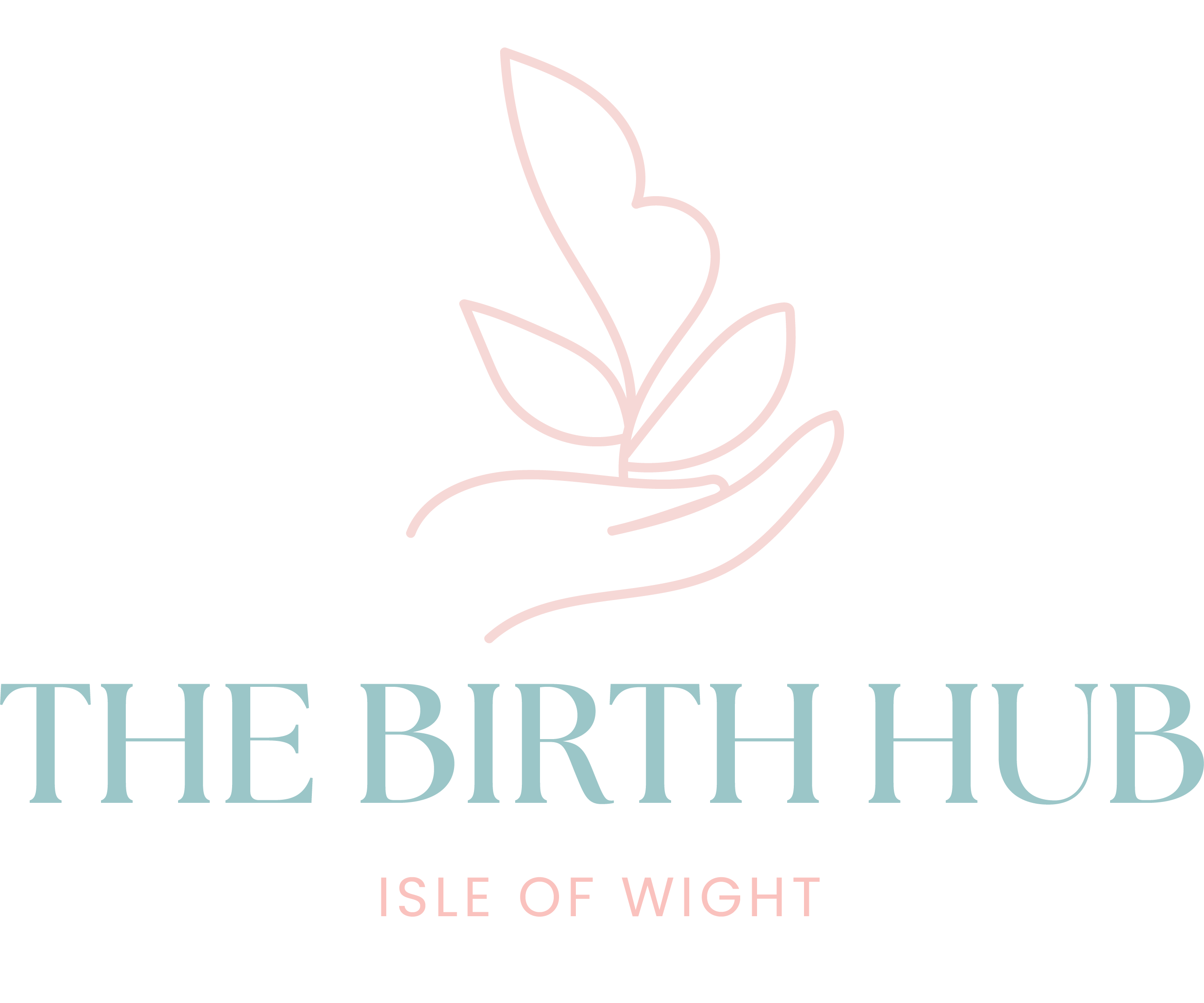 Birth Hub Logo-01
