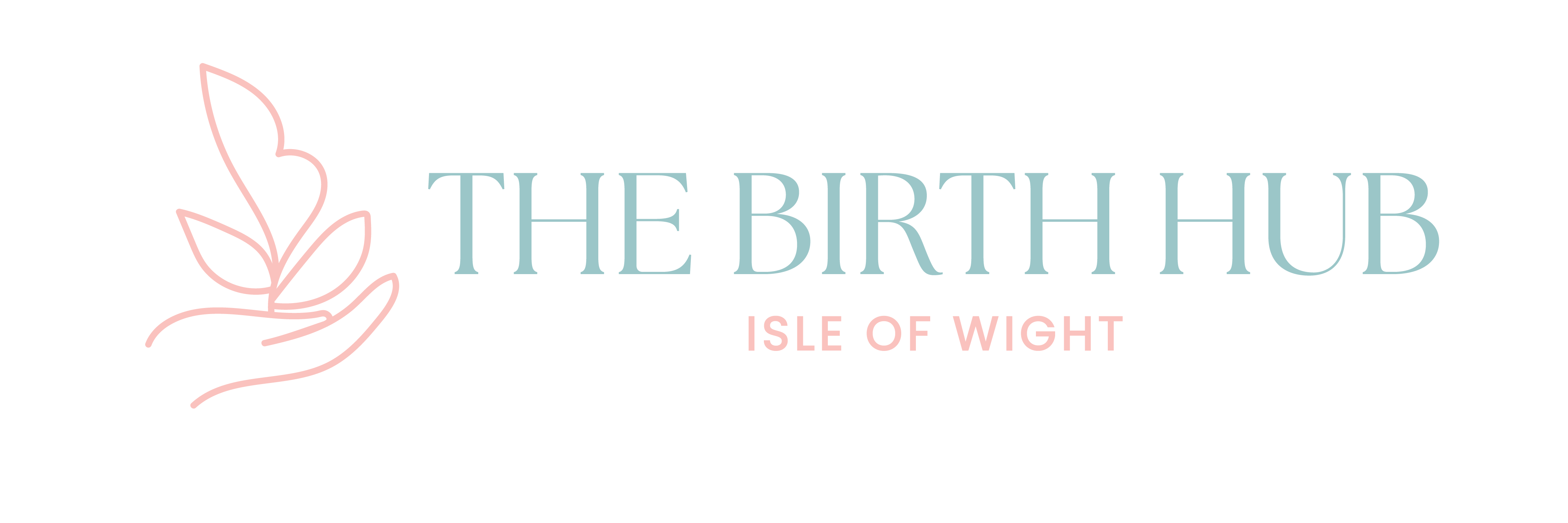 Birth Hub Logo Wide-01